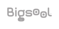 Logo bigschool